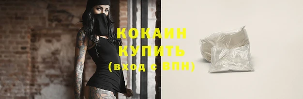 соль ск Вяземский