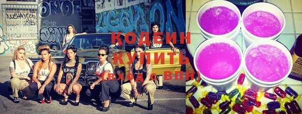 соль ск Вяземский