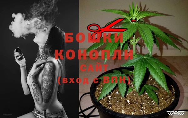 дурь Вязьма
