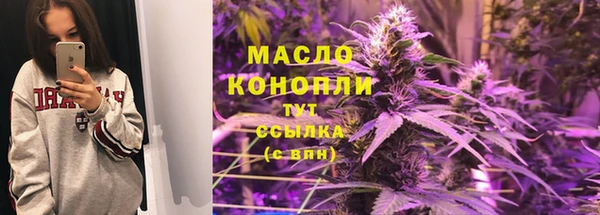 соль ск Вяземский