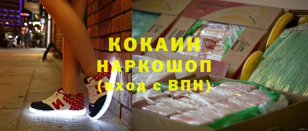 соль ск Вяземский