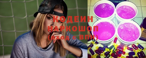 соль ск Вяземский
