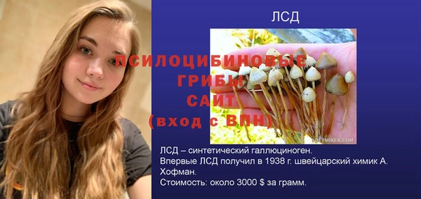 гашик Иноземцево