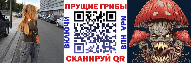 Галлюциногенные грибы GOLDEN TEACHER  дарнет шоп  Щёлково 
